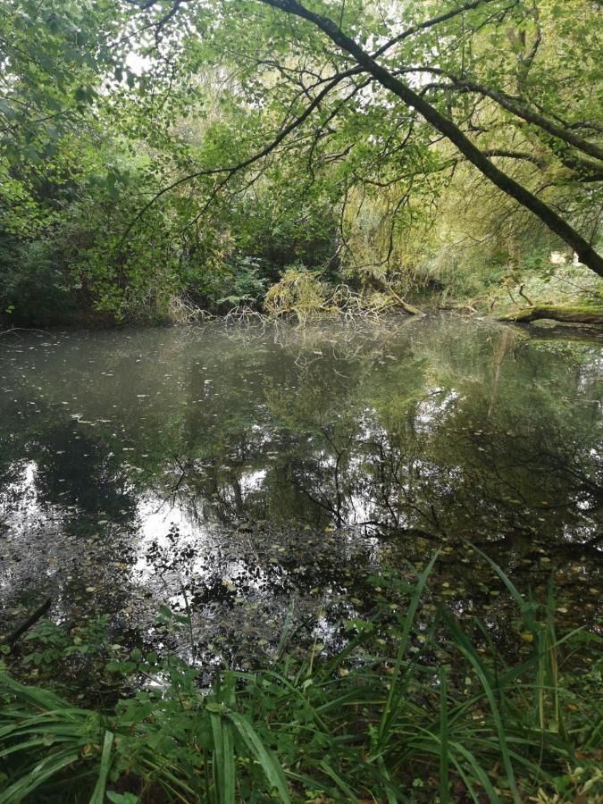 Saint-Martin-des-Besaces Clos Des Monts מראה חיצוני תמונה